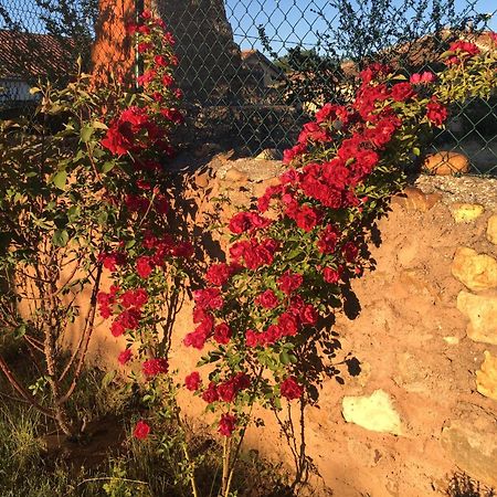 בית הארחה Saldana de Ayllon 	La Casa Del Cartero Pablo מראה חיצוני תמונה